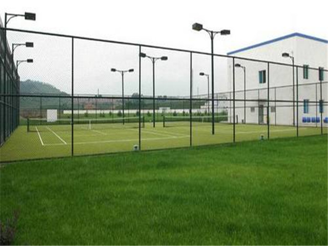 運(yùn)動(dòng)場(chǎng)圍網(wǎng)圖片4